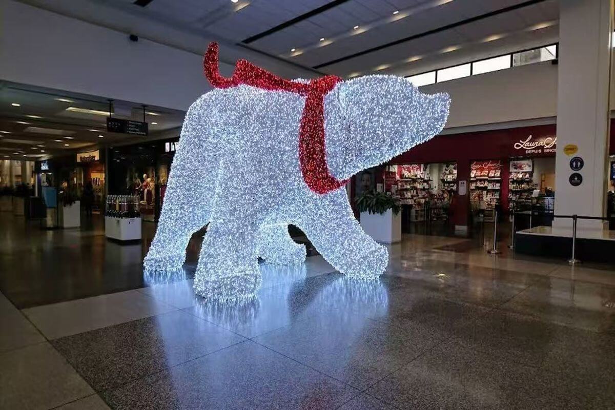 0 转让费 蒙特利尔南岸商场旺铺转让