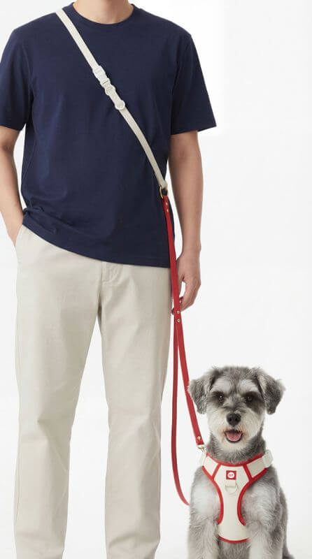 Fast-Growing Pet Brand In Singapore Looking For Investor To Scale