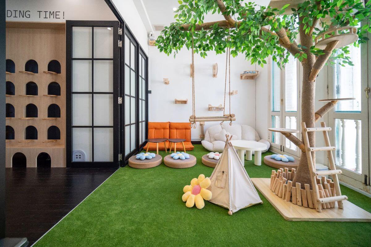 Cat-Friendly Co-Working & Community Space With Growth Potential