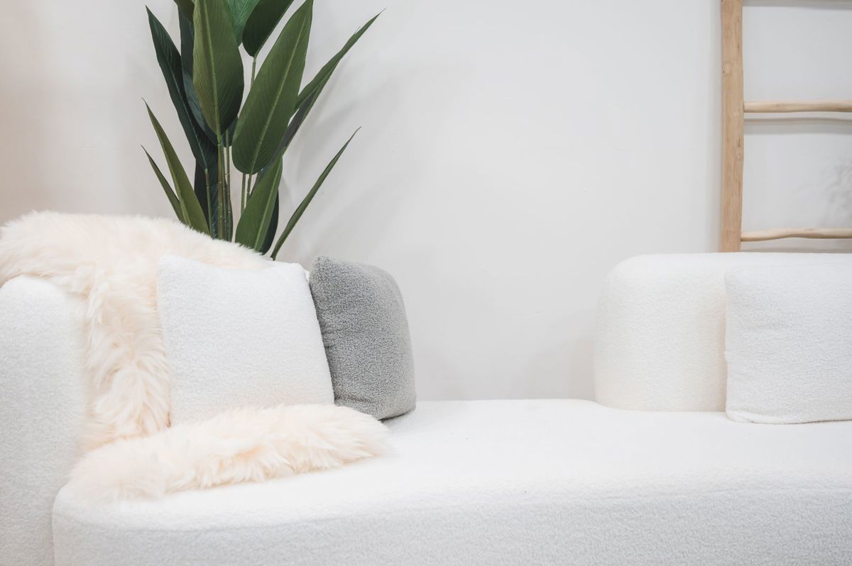 Trendy New Pet-Friendly Photo Studio For Takeover