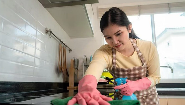 Start Your Own Maid Agency In Singapore - Valuable Insights + Training Centres Support