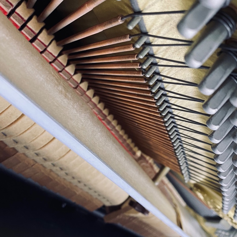Take Over A Running Piano Business In Singapore