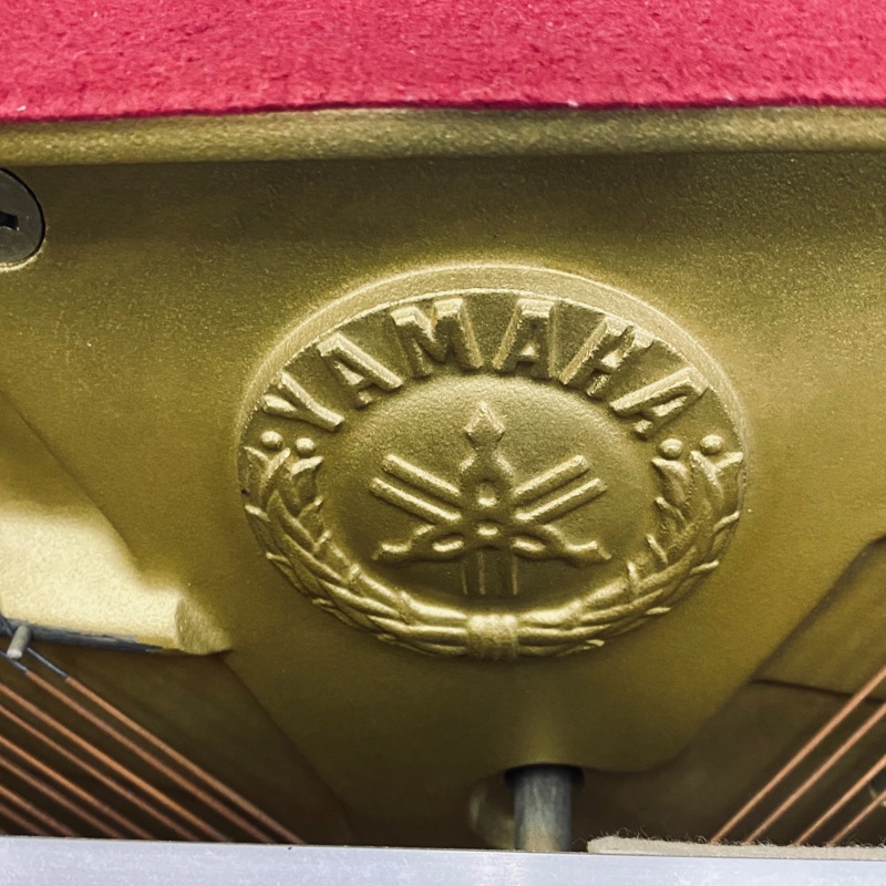 Take Over A Running Piano Business In Singapore