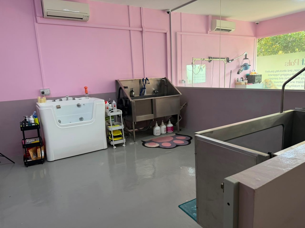 Pet Grooming Shop For Takeover At Thomson