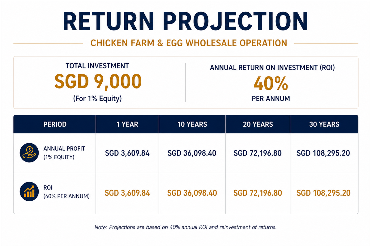 Investment Project Layer Chicken Farm Project In Indonesia Bintan Tg Pinang