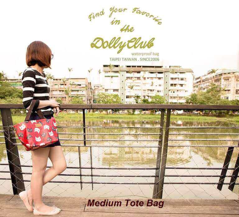 Online Store Trendy Taiwanese Bags For Sale (Ecommerce Website + Qoo10 + Stock)