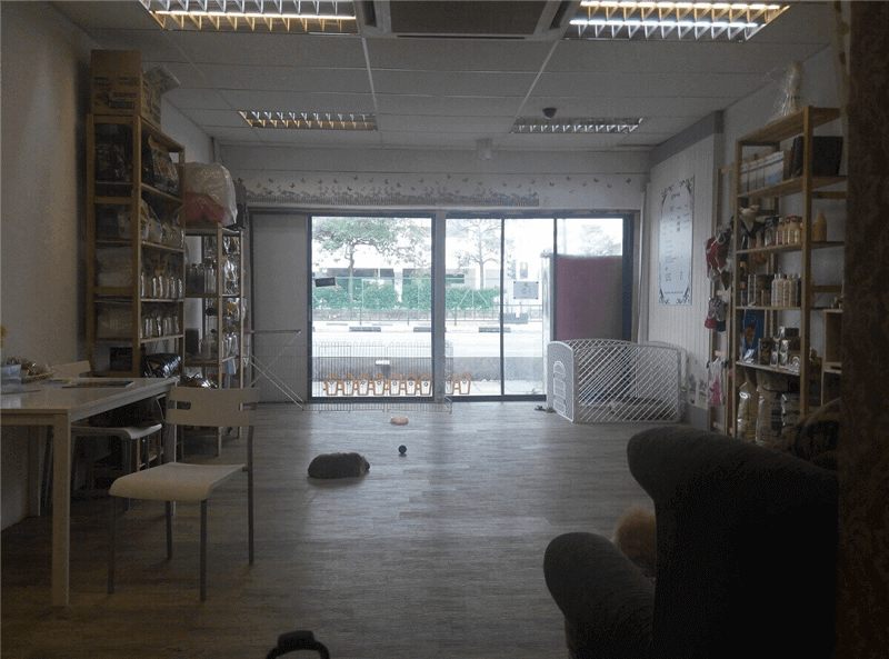 Pet Shop For Takeover