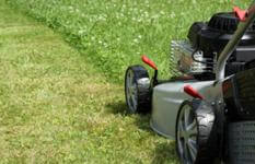 Property Cleaning and garden maintenance business