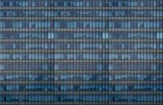 Highly Profitable Pet-Safe Window Netting With Proprietary Locking System