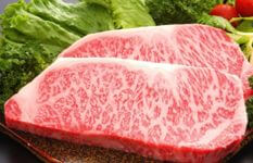 Premium Food Distributor Seeks Investment For Expansion (Ipo Potential)