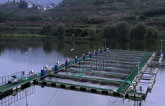 千叶县水产养殖寻转让合作