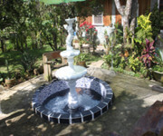 Luxury Resort , With Events And Catering, 2 Villas , 3 Swimming Pools On 10,000M2 Land image 4