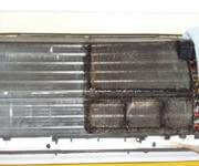 HYDROKLEEN - DUAL SUNSHINE COAST FRANCHISE TERRITORIES image 5