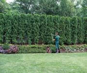 Successful Landscape Construction Business - Regional QLD. image 2