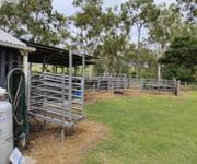 THRIVING BUTCHER SHOP  SMOKEHOUSE  FREEHOLD PROCESSING PLANT image 2