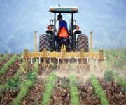 Freehold Agricultural Supplies  Toowoomba Region, Excellent Reputation. image 3
