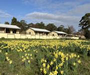 When Value Counts 23 Self-Contained Apartments t/o $800K 9 Titles $2.45m 2023 net $367,000 image 11
