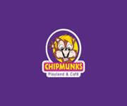 Chipmunks indoor playground franchise for sale - Canberra image 12