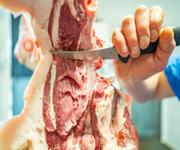 BUTCHER BUSINESS FOR SALE, INC PREMISES & DELIVERY VEHICLE image 8
