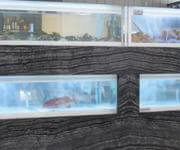 Seizing Global Opportunities in the Seafood Industry image 5