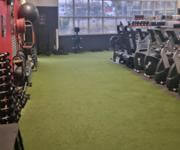 PREMIER GYMNASIUM MELBOURNE'S NORTH  OPERATING 15 YEARS image 2