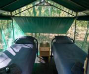 Multi-Award-Winning Kakadu & Arnhem Land Tour Business image 5