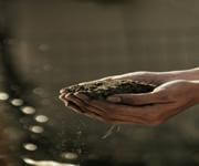 Online Organic Grocery Market image 2