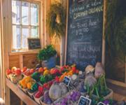 Online Organic Grocery Market image 3