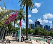 Established Automotive Care and Mechanical Business North, Brisbane image 4