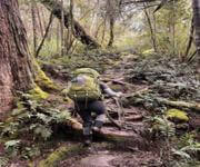 Adventure Equipment Hire & Transfers Highly Profitable Business Adj Profit FY23>$160K image 3