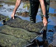 Harvest Success With Australia's Premier Aquaculture Cultivation Equipment Supplier image 3