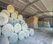 WRT Feed Shed - Stockfeed & Produce image 3