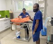 Veterinary Clinic for Sale in Port Vila, Vanuatu. image 4