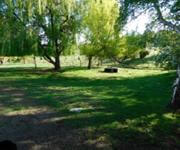 Versatile STCA Residence or Varied Commercial Application, Backpackers Depot Workshop o/o $729k image 3