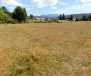 Versatile STCA Residence or Varied Commercial Application, Backpackers Depot Workshop o/o $729k image 5