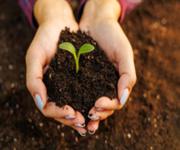 Landscape Supplies/Earthmoving Business, Run Under Management, Near Gosford image 9