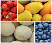 Under Management Fruit and Veg Grocery with Deli and Cafe - Netting $17,000 p/ w - South Coast image 2
