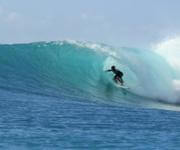 Owner Operated Retail Surf Shop, Impeccable Reputation. Convenient Location. image 13