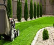 Leading Mower Retail Sales/Service Business. Run Under Management image 6