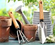 MASSIVE PRICE DROP Retail Produce & Farm/Rural Supplies, Under Management, Mid-North Coast image 11