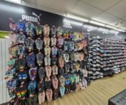 Fully Managed Sporting Goods Store - Easy for Remote owner to operate! - Whitsundays, QLD image 5