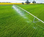 Essential Service - Irrigation and Water Management / 2024 Sales $3,656,000 Good profits! image 2