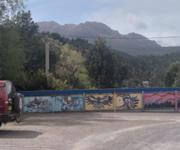 Queenstown Cabin & Tourist Park, Great Income & Home $750,000 WIWO image 5