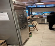 Fully Equipped Cafe And Bakery At City Fringe With Lunch & Dinner Crowd image 12