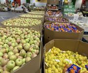 New price for Exceptional Business Opportunity: Fruit & Vegetable Wholesale at Melbourne Market image 5