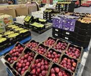 New price for Exceptional Business Opportunity: Fruit & Vegetable Wholesale at Melbourne Market image 6