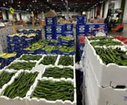New price for Exceptional Business Opportunity: Fruit & Vegetable Wholesale at Melbourne Market image 8
