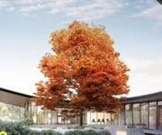 Boutique Manufacturer of Aluminium Windows & Doors image 5