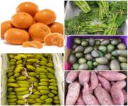Award Winning Fresh Food Business  Central Coast Region image 5