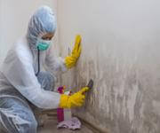 Thriving Building Services Company in Brisbane image 2
